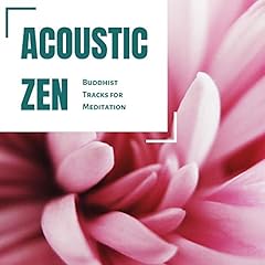 Acoustic zen gebraucht kaufen  Wird an jeden Ort in Deutschland