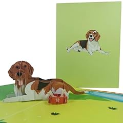 Cardpop beagle pop for sale  Delivered anywhere in UK
