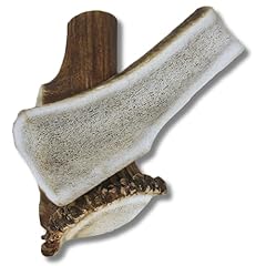 Whitetail naturals antler for sale  Delivered anywhere in USA 