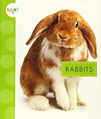 Rabbits for sale  Delivered anywhere in UK