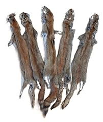 Dakotaline furs canadian for sale  Delivered anywhere in USA 