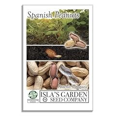 Spanish peanut seeds for sale  Delivered anywhere in USA 