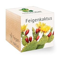 Feel green create gebraucht kaufen  Wird an jeden Ort in Deutschland