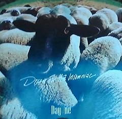 Dayone dream insomniac for sale  Delivered anywhere in USA 