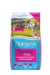 Burgess grehound lurcher for sale  Delivered anywhere in UK