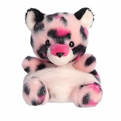 Aurora adorable palm for sale  Delivered anywhere in USA 