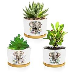 Elephants succulent pots for sale  Delivered anywhere in USA 
