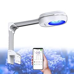 Popbloom rl60 luce usato  Spedito ovunque in Italia 
