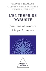 Entreprise robuste alternative d'occasion  Livré partout en France