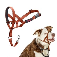 Licol halti chien d'occasion  Livré partout en France