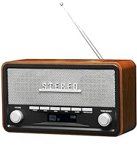 Denver dab radio gebraucht kaufen  Wird an jeden Ort in Deutschland