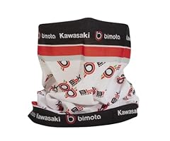 Kawasaki krt bimota usato  Spedito ovunque in Italia 