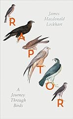 Raptor journey birds for sale  Delivered anywhere in UK