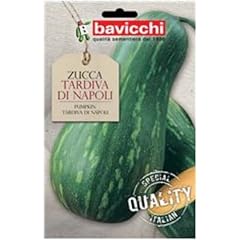 Bavicchi buste semi usato  Spedito ovunque in Italia 