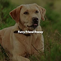 Furry friend frenzy for sale  Delivered anywhere in USA 