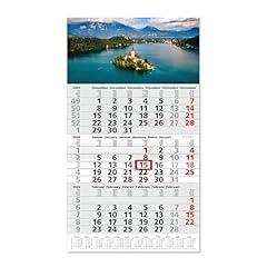 Timr calendario mesi usato  Spedito ovunque in Italia 