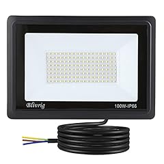 Blivrig 100w led gebraucht kaufen  Wird an jeden Ort in Deutschland