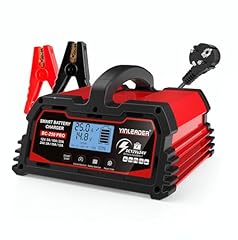 Autobatterie ladegerät 25a gebraucht kaufen  Wird an jeden Ort in Deutschland