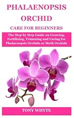Phalaenopsis orchid care for sale  Delivered anywhere in USA 