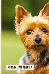 Australian terrier funny for sale  Delivered anywhere in UK