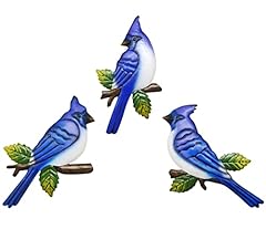 Usupgift blue jay for sale  Delivered anywhere in USA 
