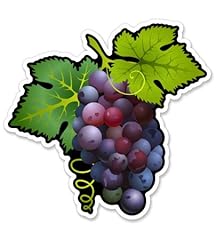 Graphics purple grapes for sale  Delivered anywhere in USA 