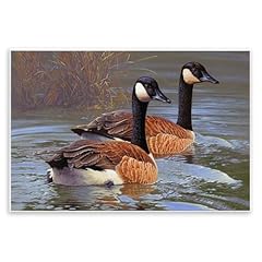 Stupell industries backwater for sale  Delivered anywhere in USA 