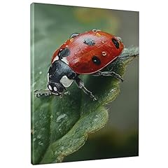 Ladybug canvas wall for sale  Delivered anywhere in USA 