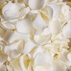 Dried real white for sale  Delivered anywhere in USA 