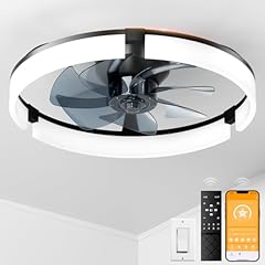 Coonyes ceiling fans for sale  Delivered anywhere in USA 