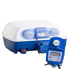 Real plus expert usato  Spedito ovunque in Italia 