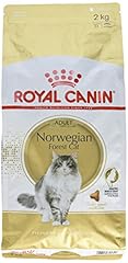 Royal canin cat usato  Spedito ovunque in Italia 