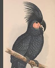 Great black cockatoo for sale  Delivered anywhere in UK