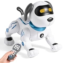 Weinsamkeit cane robot usato  Spedito ovunque in Italia 