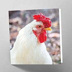Maturi leghorn chicken for sale  Delivered anywhere in USA 