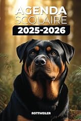 Agenda scolaire 2025 d'occasion  Livré partout en France