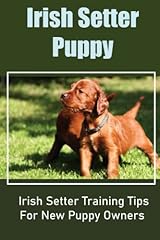 Irish setter puppy for sale  Delivered anywhere in UK
