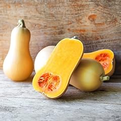 Premier seeds direct for sale  Delivered anywhere in UK