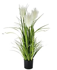 Kunstpflanze pampas gras gebraucht kaufen  Wird an jeden Ort in Deutschland
