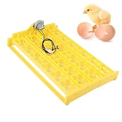 Egg incubator eggs for sale  Delivered anywhere in UK