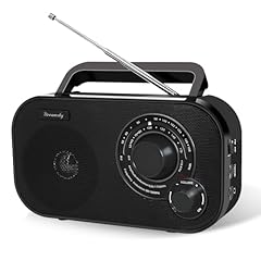Dreamsky portable radio for sale  Delivered anywhere in USA 