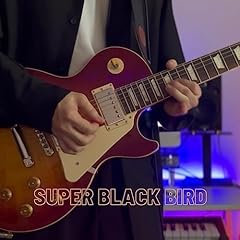 Super black bird for sale  Delivered anywhere in UK
