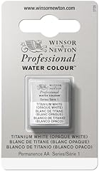 Winsor newton professional usato  Spedito ovunque in Italia 