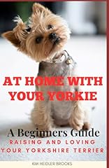 Home yorkie beginners for sale  Delivered anywhere in USA 