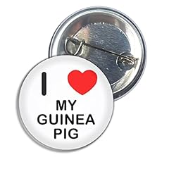 Love guinea pig for sale  Delivered anywhere in UK