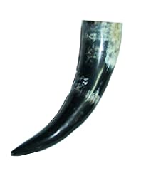Polished buffalo horn for sale  Delivered anywhere in USA 