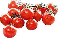Tegut bio cherrystrauchtomaten gebraucht kaufen  Wird an jeden Ort in Deutschland