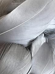 Slate grey feathers for sale  Delivered anywhere in UK
