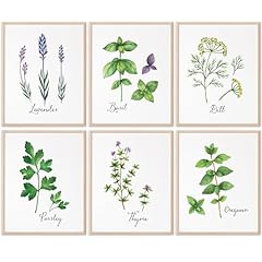 Botanical prints kitchen for sale  Delivered anywhere in USA 