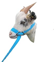 Goat sheep halter for sale  Delivered anywhere in UK